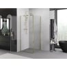 Mexen Exo Duschkabine schwenkbar 75 x 75 cm, transparent, gold - 8181-075-075-50-00