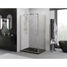 Mexen Exo Duschkabine mit Schwingtür 95 x 100 cm, transparent, gold - 8181-095-100-50-00