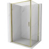 Mexen Exo Duschkabine Drehtür 100 x 90 cm, transparent, gold - 817-100-090-50-00