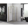 Mexen Exo Duschkabine schwenkbar 95 x 95 cm, transparent, gold - 817-095-095-50-00