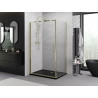 Mexen Exo Duschkabine schwenkbar 95 x 100 cm, transparent, gold - 817-095-100-50-00