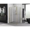 Mexen Exo klappbare Duschkabine 90 x 70 cm, transparent, gold - 816-090-070-50-00