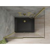 Mexen Omega Schiebeduschkabine 120 x 90 cm, transparent, gold + Flat Duschwanne, schwarz - 825-120-090-50-00-4070G