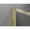 Mexen Exo faltbare Duschkabine 100 x 70 cm, transparent, gold - 816-100-070-50-00