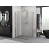 Mexen Exo faltbare Duschkabine 90 x 75 cm, transparent, gold - 816-090-075-50-00