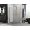 Mexen Exo Faltbare Duschkabine 100 x 80 cm, transparent, gold - 816-100-080-50-00