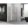 Mexen Exo faltbare Duschkabine 100 x 100 cm, transparent, gold - 816-100-100-50-00
