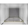 Mexen Exo Schiebetüren 120 cm, transparent, gold - 8151-120-000-50-00