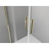 Mexen Exo Doppelschiebeduschtür 170 cm, transparent, gold - 8152-170-000-50-00