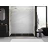 Mexen Exo doppelt verschiebbare Duschabtrennung 180 cm, transparent, gold - 8152-180-000-50-00