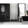 Mexen Exo Duschdoppeltür schwenkbar 70 cm, transparent, gold - 8182-070-000-50-00