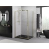 Mexen Exo Duschkabine, schiebbar 110 x 85 cm, transparent, gold - 8151-110-085-50-00