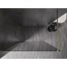 Mexen Kioto-X Duschwand Walk-in 150 x 200 cm, Graphit 10 mm, Gold - 800-150-101-50-40-X