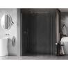 Mexen Kioto-X Duschwand Walk-in 100 x 100 cm, transparent 10 mm, Chrom - 800-100-202-01-00-100-X