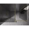 Mexen Kioto-X Duschwand Walk-in 140 x 80 cm, transparent 10 mm, gold - 800-140-202-50-00-080-X