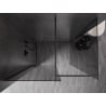 Mexen Kioto-X Duschwand Walk-in 110 x 100 cm, transparent 10 mm, Gun Metal - 800-110-202-95-00-100-X