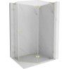 Mexen Lunar L Fünfeck-Duschkabine, rechts öffnend, 100 x 90 cm, transparent, gebürstetes Gold - 831L-100P-090L-55-00-P