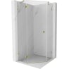 Mexen Lunar Fünfeck-Duschkabine links schwenkbar 100 x 100 cm, transparent, gold - 831-100L-100P-50-00-L