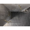 Mexen Lunar Duo Duschkabine schwenkbar 80 x 80 cm, transparent, gebürstetes Gold - 834-080L-080P-55-00