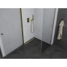 Mexen Pretoria Schwingdusche 90 x 70 cm, transparent, Gold - 852-090-070-50-00
