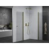 Mexen Pretoria Duo Duschkabine schwenkbar 70 x 70 cm, transparent, gold - 852-070-070-50-00-02
