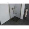 Mexen Pretoria Duo Duschkabine schwenkbar 70 x 70 cm, transparent, gold - 852-070-070-50-00-02