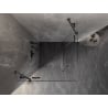 Mexen Lunar Duo Duschkabine schwenkbar 80 x 80 cm, transparent, gebürstetes Gun Gray - 834-080L-080P-66-00