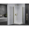 Mexen Pretoria Duo-Duschkabine, schwenkbar 80 x 80 cm, transparent, gold + Flat-Duschwanne - 852-080-080-50-02-4010G