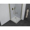 Mexen Pretoria Duo-Duschkabine, schwenkbar 80 x 80 cm, transparent, gold + Flat-Duschwanne - 852-080-080-50-02-4010G