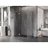 Mexen Lunar L Duo Duschkabine mit linker Schwingtür 105 x 100 cm, transparent, gebürsteter Nickel - 834L-105L-100P-97-00