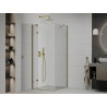 Mexen Roma Duschkabine schwenkbar 100 x 100 cm, transparent, gold - 854-100-100--50-00