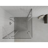 Mexen Roma Duo Duschkabine Schwingtür 90 x 90 cm, transparent, Chrom - 854-090-090-02-00
