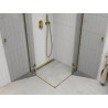 Mexen Roma Duo Duschkabine schwenkbar 80 x 80 cm, transparent, Gold - 854-080-080-50-00-02