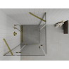 Mexen Roma Duo Duschkabine schwenkbar 100 x 100 cm, transparent, gold - 854-100-100-50-00-02