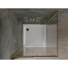 Mexen Omega Schiebedusche 100 x 100 cm, transparent, gold + Flat-Duschwanne - 825-100-100-50-00-4010
