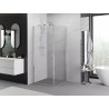 Mexen Exo Duschkabine mit Drehtür 95 x 95 cm, transparent, Chrom - 817-095-095-01-00