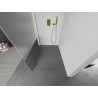 Mexen Kioto Duschwand Walk-in 80 x 200 cm, transparent/Mattglas 8 mm, golden - 800-080-101-50-35