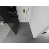 Mexen Kioto Duschwand Walk-in 90 x 200 cm, graphit 8 mm, gold - 800-090-101-50-40