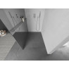 Mexen Kioto+ Duschwand mit Ablage Walk-in 110 x 200 cm, Spiegel, Chrom - 800-110-121-01-50
