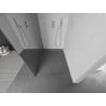 Mexen Kioto Duschwand Walk-in 70 x 200 cm, Spiegel 8 mm, Chrom - 800-070-101-01-50