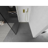 Mexen Kioto Duschwand Walk-in 60 x 200 cm, schwarzer Rahmen 8 mm, Gold - 800-060-101-50-70