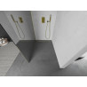 Mexen Kioto Walk-in-Duschwand 130 x 200 cm, Spiegel 8 mm, Gold - 800-130-101-50-50
