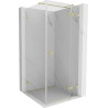 Mexen Lunar T Duschkabine, schwenkbar, rechts, 110 x 110 cm, transparent, gebürstet Gold - 834T-110-110-55-00-P