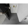 Mexen Kioto+ Duschwand mit Ablage Walk-in 120 x 200 cm, Graphit, Gold - 800-120-121-50-40