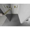 Mexen Kioto+ Duschwand mit Regal Walk-in 110 x 200 cm, Spiegel, Gold - 800-110-121-50-50