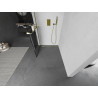Mexen Kioto+ Duschwand mit Regal Walk-in 90 x 200 cm, schwarzes Gitter, gold - 800-090-121-50-77