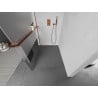 Mexen Kioto+ Duschwand mit Regal Walk-in 120 x 200 cm, transparent/frost, Roségold - 800-120-121-60-35