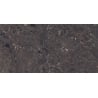 Mexen Slik Emperador Brauner glasiertes Feinsteinzeug rektifiziert G1, Boden- und Wandfliese 120 x 60 cm, Hochglanz