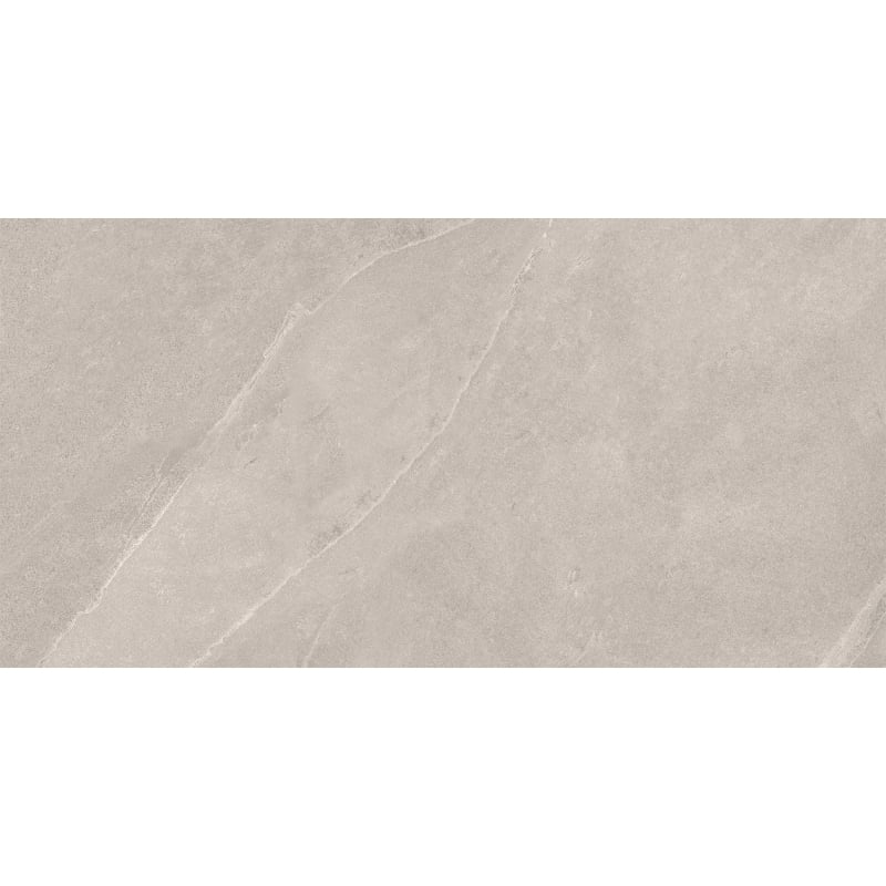 Mexen Aryan Silber glasiertes Feinsteinzeug rekt. G1, Boden- und Wandfliese 120 x 60 cm, matt - TL310-120-060-05