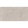 Mexen Aryan Silber glasiertes Feinsteinzeug rekt. G1, Boden- und Wandfliese 120 x 60 cm, matt - TL310-120-060-05